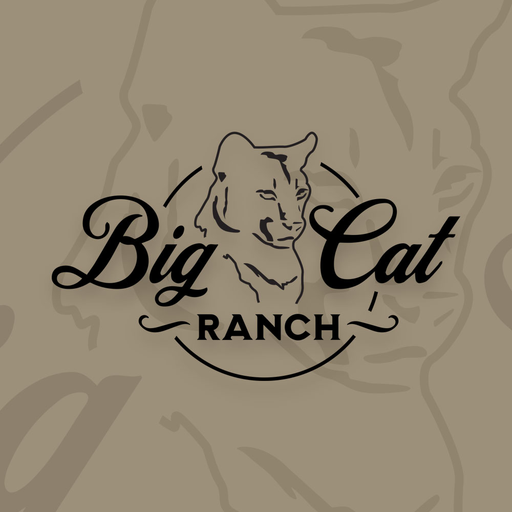 Chilliwack Logo Design - Big Cat Ranch